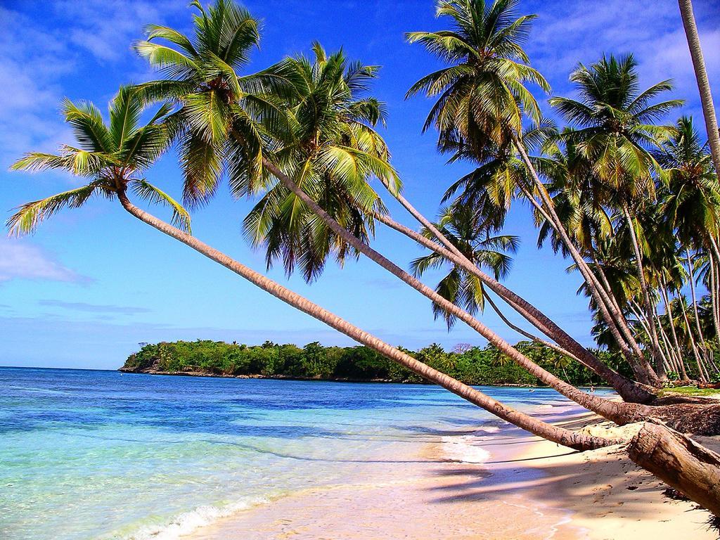 Mangoplaya Villa Deshaies Buitenkant foto