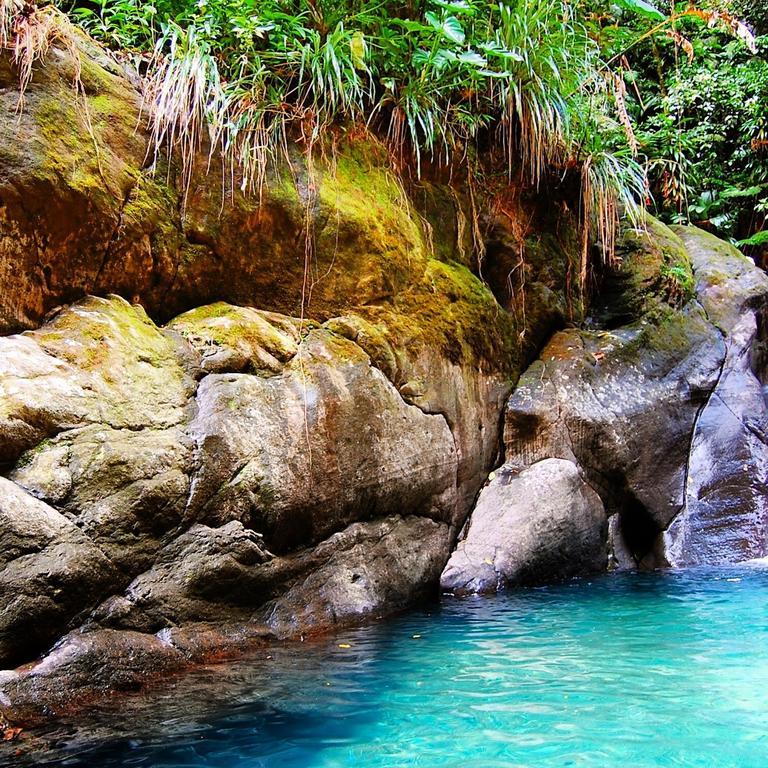 Mangoplaya Villa Deshaies Buitenkant foto