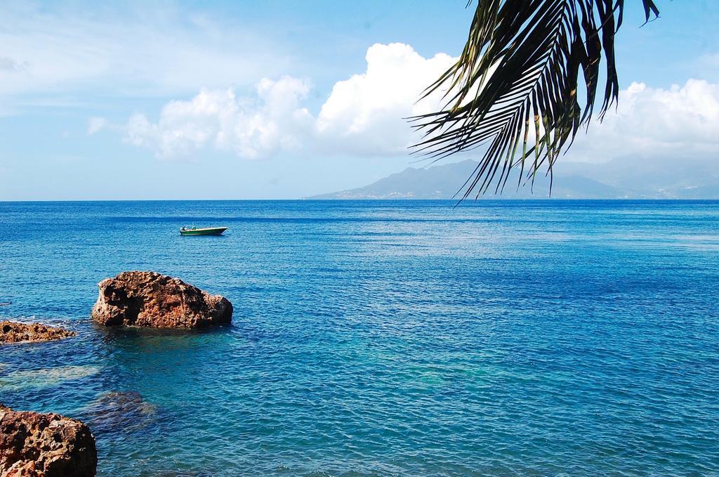 Mangoplaya Villa Deshaies Buitenkant foto
