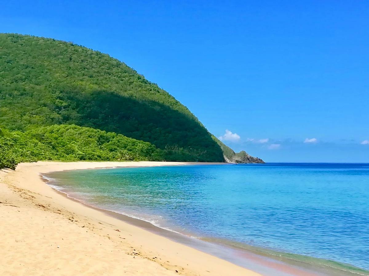 Mangoplaya Villa Deshaies Buitenkant foto